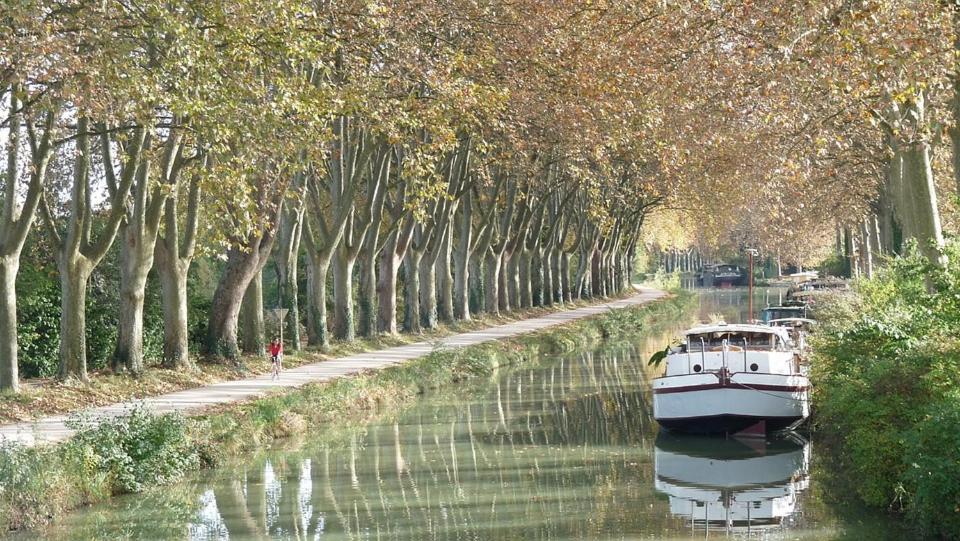 Les Gardenias Bed & Breakfast Toulouse Exterior foto